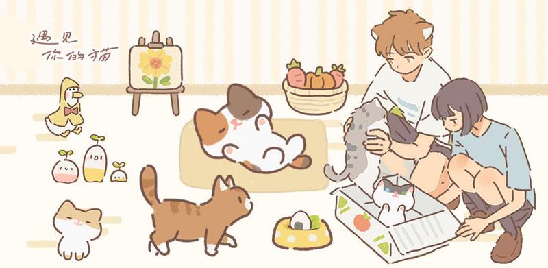 遇见你的猫触发猫圈道具大全分享