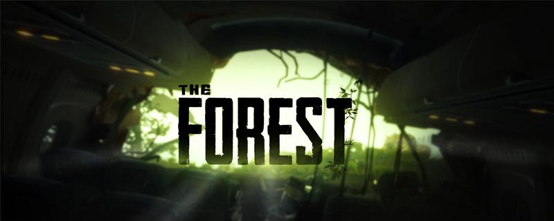 森林的地图从哪获得