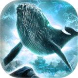 天行道妄想山海