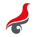 最新版学信网app安卓版