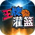 王牌灌篮汉化版
