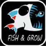 疯狂大胃王安卓版