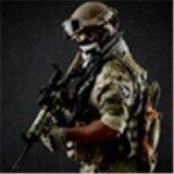 军事打击射击免费版