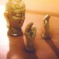 BUDDHA GO