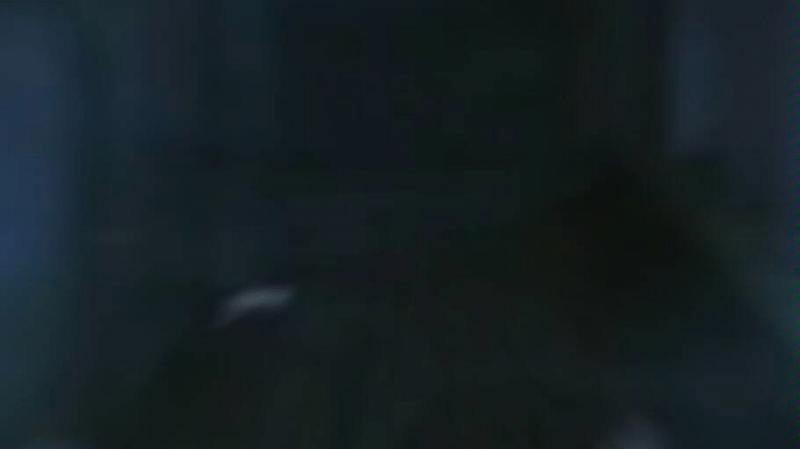 黑色走廊游戏大全