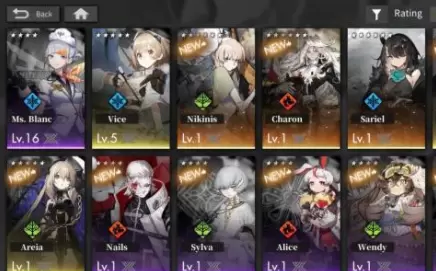 白夜极光阵容搭配攻略分享