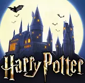 哈利波特霍格沃茨之谜