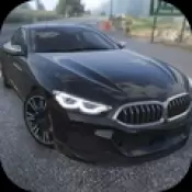 驾驶赛车中文版