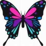 流星蝴蝶剑手游