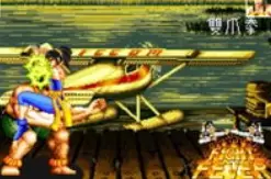 狂热格斗(第2套)