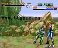 道家格斗(Tao Taido)