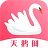 天鹅网