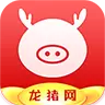 龙猪网