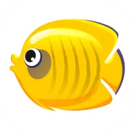 蝴蝶鱼快讯