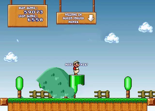 永远的超级玛丽