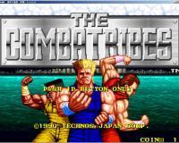 流氓大混战无限生命版