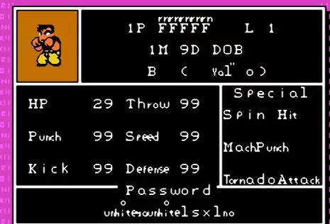 热血格斗传说金手指