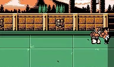 热血格斗老虎密码30级