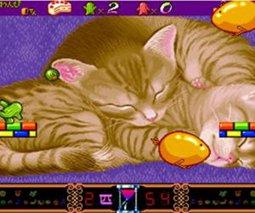 街机仙人掌兄弟