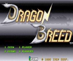 街机龙背上的骑兵