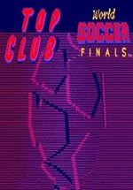 世界足球最终战