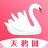 天鹅网