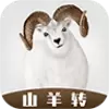 山羊转