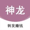 神龙资讯