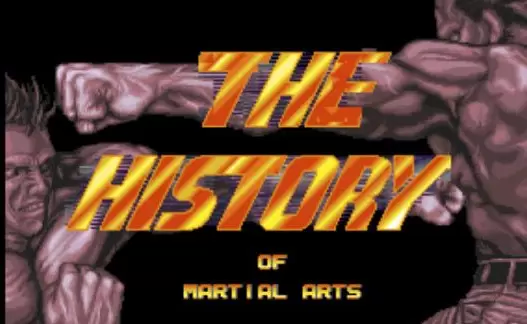 武术的历史中文直装版