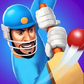 全明星板球职业选手