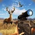 3D丛林狩猎满v版