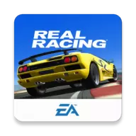 真实赛车3修改版