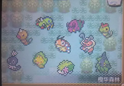 口袋妖怪银雪白熊宝石复刻721版