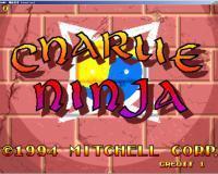 糊涂忍者经典版