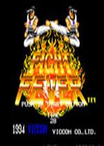 狂热格斗英文版