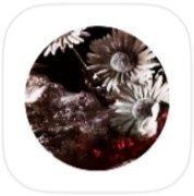 bts病态绮丽橙光修改版最新