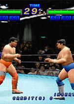 全日本职业摔跤T(Zen Nippon Pro