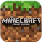 我的世界国际版