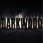 阴暗森林中文版