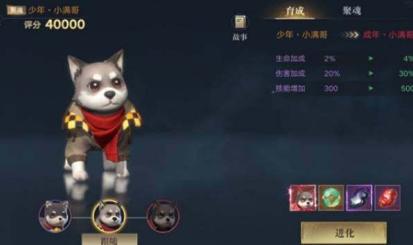 新盗墓笔记宠物进阶材料怎么获得？宠物进阶材料获得方法分享