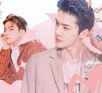 荔枝没有爱情修改版最新