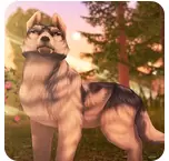 狼传说家园与爱心