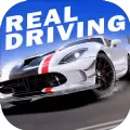 真实公路汽车2