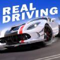真实公路汽车2