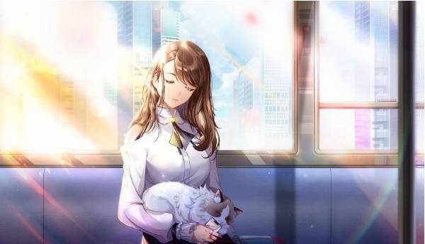 猫之宿约者3-14怎么通关