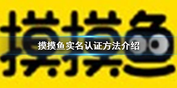 摸摸鱼怎么实名认证 摸摸鱼实名认证方法介绍