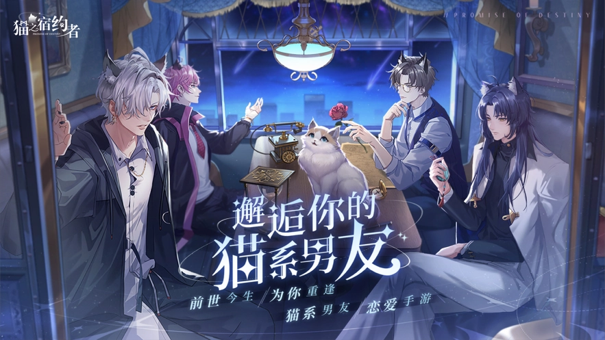 猫之宿约者手游重复卡作用详解