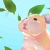 仓鼠吃叶子比赛 