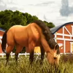 真马秀赛马世界安卓版