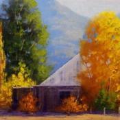 索尼娅的乡村生活安卓